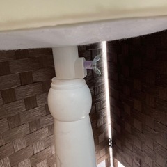 決まりました、トルソーの画像
