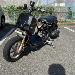 ズーマー　キャブ　カスタム車　の画像