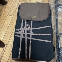 買い物用キャリー【新品】の画像