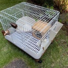 ウサギ　ゲージ　飼育セット　オマケ多数　マルカン　うさぎ の画像