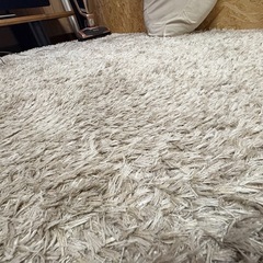 ベージュカーペット　毛足長めの画像