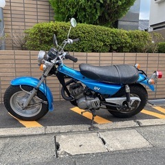 希少！スズキバンバン125RVの画像