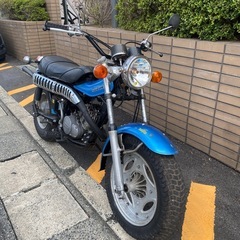 希少！スズキバンバン125RVの画像