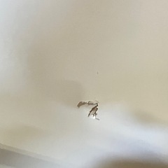 キッチンボード ※一部難あり※の画像