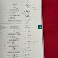 基礎からしっかり学ぶ生化学【羊土社】の画像