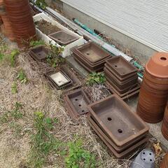 【無料】植木鉢 盆栽用鉢の画像