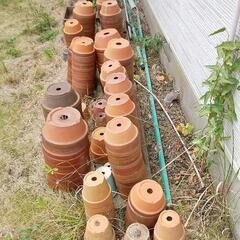 【無料】植木鉢 盆栽用鉢の画像