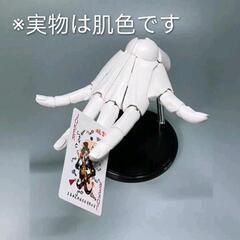 １分の１デッサンモデルの画像