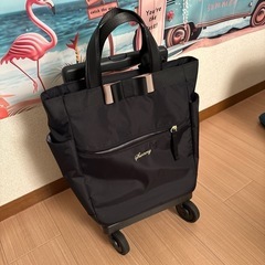 キャリーバックの画像