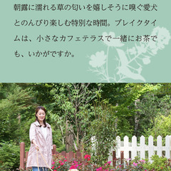 宿泊権利　小谷流の里　ドキーズアイランド　ドギーズサマーSale／朝食ブッフェ付】1日5部屋限定★30％OFF　夏こそドギーズ♪愛犬と一緒にスプラッシュの画像
