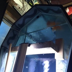 水槽　　右サイド6角形の画像