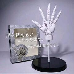 １分の１デッサンモデルの画像