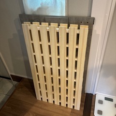 しんぐるの画像