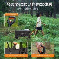 1点限り❣️ 電動キャリーワゴン 坂道運搬 軽量 大容量100L 長距離航続の画像