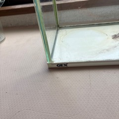 40センチ水槽の画像