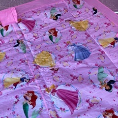 Disney Princess ディズニー プリンス ロゴス logos サンシェード UVカット 収納バック付きの画像