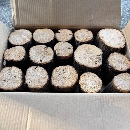 クワガタ　産卵材　1箱30本前後入り　9箱セット　約1本@90円