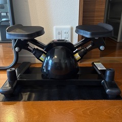 オアシスステッパーの画像