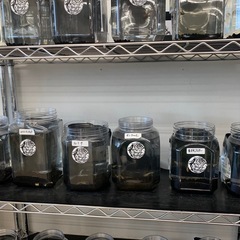 追記　宇部新鮮館厚南店　メダカ　めだかの画像
