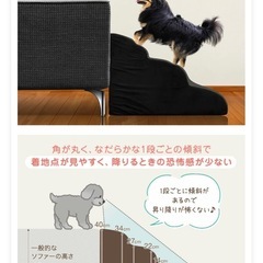 犬用ステップクッション　新横浜駅徒歩10分圏内　600円の画像