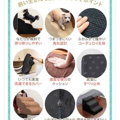 犬用ステップクッション　新横浜駅徒歩10分圏内　600円の画像