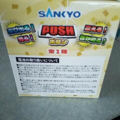 SANKYOのプッシュボタンの画像