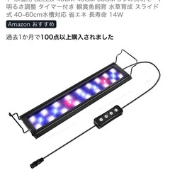 40cm水槽 フィルター ライトセットの画像