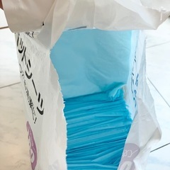 うす型　ペットシーツの画像