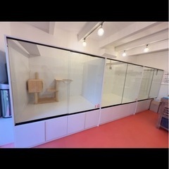 ペット用展示部屋の画像