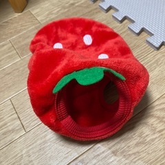 🍓苺の犬の服　　の画像