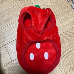 🍓苺の犬の服　　の画像