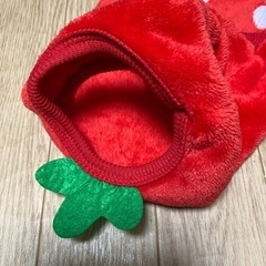 🍓苺の犬の服　　の画像