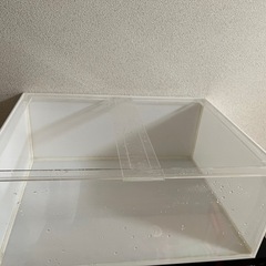 アクリル水槽60センチ　ワイドの画像