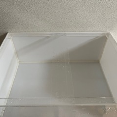 アクリル水槽60センチ　ワイドの画像