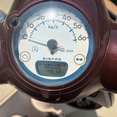Honda Giorno ブラウン の画像