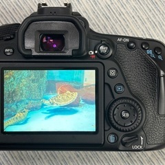 【美品】Canon EOS 80D デジタル一眼レフカメラ　グリップ他セットの画像