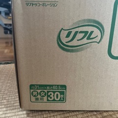【９月15日までの出品！】サラケアパッド　ビッグ　４袋の画像
