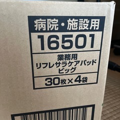 【９月15日までの出品！】サラケアパッド　ビッグ　４袋の画像