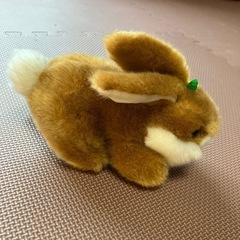 うさぎのぬいぐるみの画像