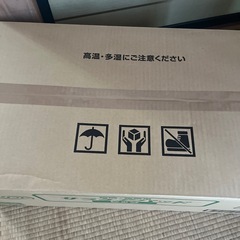 【９月15日までの出品！】サラケアパッド　ビッグ　4袋の画像