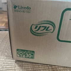 【９月15日までの出品！】サラケアパッド　ビッグ　4袋の画像