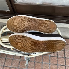 ラコステ、スニーカーの画像
