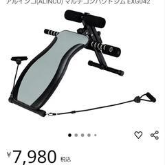 ALINCO マルチコンパクトジム EXG042の画像