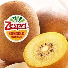 【残り35個】大玉Zespri ゼスプリサンゴールドキウイフルーツ大玉1玉/100円5個から対応可能の画像
