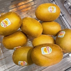 【残り35個】大玉Zespri ゼスプリサンゴールドキウイフルーツ大玉1玉/100円5個から対応可能の画像