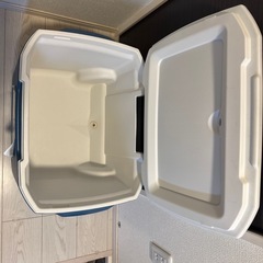 Coleman クーラーボックスの画像