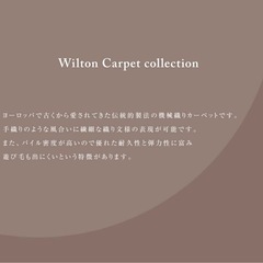 ウィルトンカーペット 約200×250cm Wilton carpet Collection ラグマット/絨毯 ベルギー製  の画像