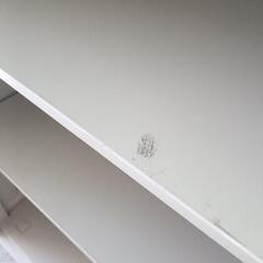 外でも使える　スチール棚の画像