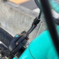 ビアンキニローネ7の画像