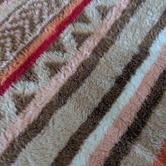 ニトリ　nウォームラグ　200×250の画像